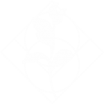 Homeopathic Practitioner Bloemfontein