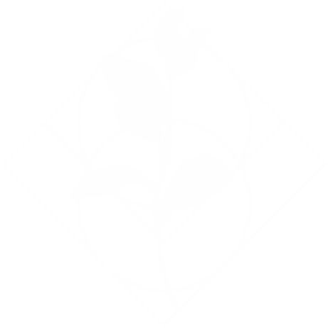 Homeopathic Practitioner Bloemfontein